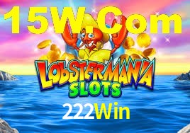 Programa VIP 222Win